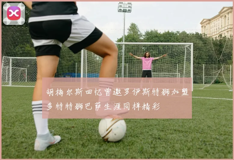 胡梅尔斯回忆曾邀罗伊斯特狮加盟多特特狮巴萨生涯同样精彩